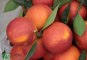 血橙多少錢一斤？四川血橙多少錢一斤？