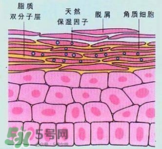 敷面膜真的有效嗎？敷面膜真的有用嗎？
