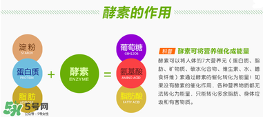 喝酵素拉肚子正常嗎？喝酵素拉肚子的原因