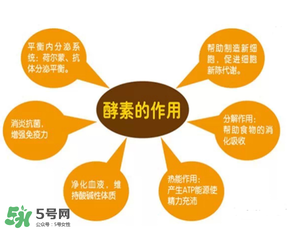喝酵素拉肚子正常嗎？喝酵素拉肚子的原因