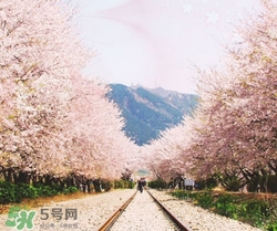 3月份去韓國穿什么？三月份去韓國穿什么衣服？