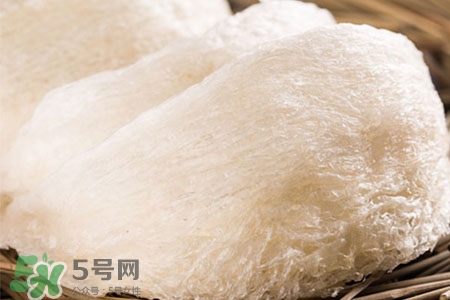 燕窩可以提高免疫力嗎？燕窩能增強(qiáng)免疫力嗎？