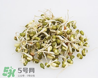 黃豆芽能做餡料嗎？黃豆芽餡包子怎么做？