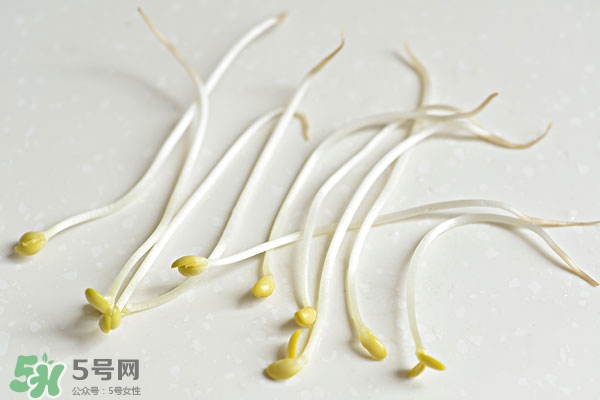 黃豆芽能做餡料嗎？黃豆芽餡包子怎么做？