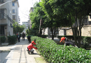 春天吃什么養(yǎng)肝？春季吃什么養(yǎng)肝護肝？
