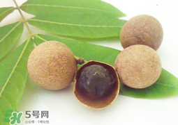 桂圓干多少錢一斤？干桂圓多少錢一斤？