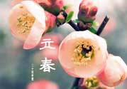 立春后種什么花？立春時開的花有哪些？