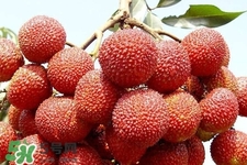 孕期吃荔枝會(huì)流產(chǎn)嗎？孕婦吃荔枝會(huì)好嗎？