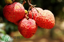 坐飛機(jī)能帶荔枝嗎？荔枝可以帶上飛機(jī)嗎？