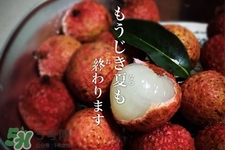 坐飛機(jī)能帶荔枝嗎？荔枝可以帶上飛機(jī)嗎？