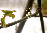 為什么春天容易生病？春天容易生什么病？