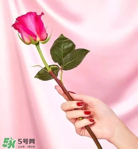 kate spade2017情人節(jié)包包多少錢？凱特絲蓓2017情人節(jié)包包哪里買？