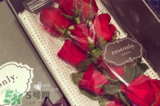 roseonly是怎么火起來的？roseonly值得買嗎？