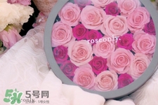 鮮花可以放多久？鮮花可以保存幾天？