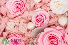 鮮花可以放多久？鮮花可以保存幾天？