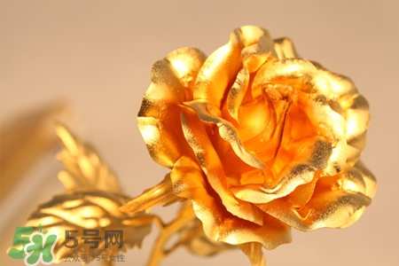 情人節(jié)可以送金玫瑰嗎？情人節(jié)送金玫瑰好嗎？