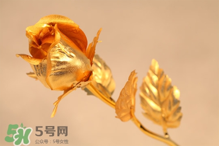 情人節(jié)可以送金玫瑰嗎？情人節(jié)送金玫瑰好嗎？