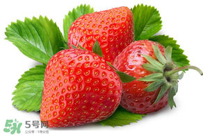 小孩多吃草莓好嗎？小孩可以摘草莓嗎？