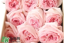 鮮花怎么養(yǎng)？鮮花怎么養(yǎng)放的比較久？