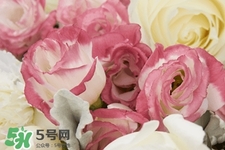 鮮花怎么養(yǎng)？鮮花怎么養(yǎng)放的比較久？