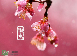 雨水吃什么？雨水節(jié)氣飲食禁忌？