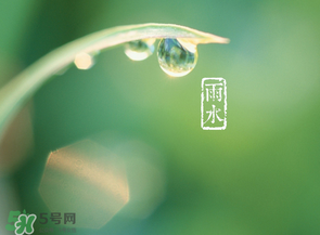 雨水吃什么？雨水節(jié)氣飲食禁忌？