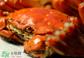 春天的螃蟹能吃嗎？開春后大閘蟹能吃嗎？