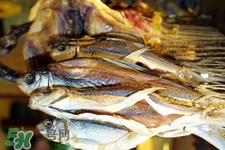 禽流感可以吃魚嗎？禽流感期間能吃魚嗎？