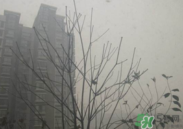 霧霾天開(kāi)空調(diào)會(huì)不會(huì)污染室內(nèi)空氣？
