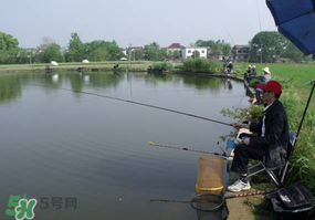 春天釣魚用什么餌料？春天釣魚用腥還是香？