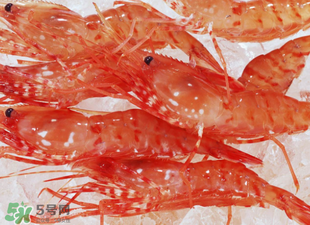 凍蝦能放多久？凍蝦放冰箱冷藏多久？