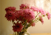 鮮花怎么養(yǎng)？鮮花怎么養(yǎng)放的比較久？