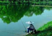 春天釣魚用什么餌料？春天釣魚用腥還是香？