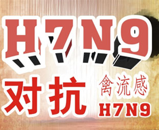 禽流感期間吃什么？預(yù)防禽流感吃什么好？