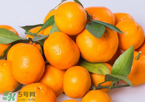桔子批發(fā)多少錢一斤？桔子多少錢一斤？