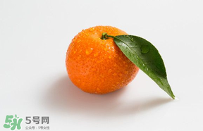 桔子批發(fā)多少錢一斤？桔子多少錢一斤？
