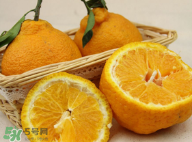 丑橘少錢一斤？丑橘一斤幾個？