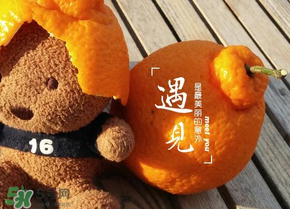 丑橘少錢一斤？丑橘一斤幾個？