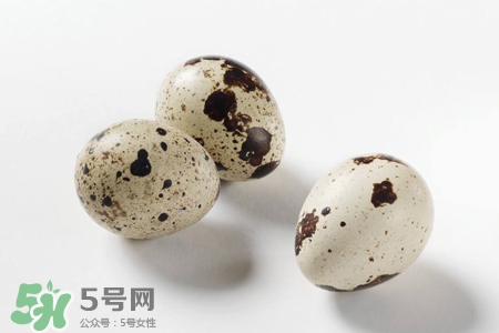 禽流感可以吃鵪鶉蛋嗎？禽流感期間能吃鵪鶉蛋嗎？