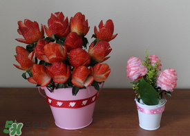 草莓花束怎么做？草莓花束怎么扎起來？