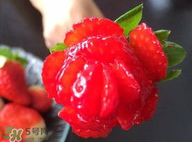 草莓花束怎么做？草莓花束怎么扎起來？