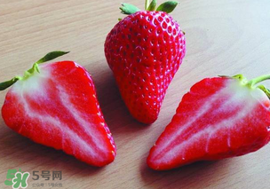 九九草莓多少錢一斤？99草莓價格是多少？