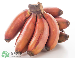 紅香蕉多少錢(qián)一斤？南洋紅香蕉多少錢(qián)一斤？
