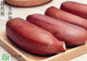 紅色香蕉和黃香蕉哪個(gè)好？紅香蕉和普通香蕉的區(qū)別