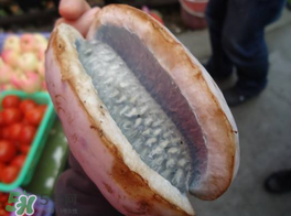 野香蕉可以吃嗎？野香蕉怎么吃？