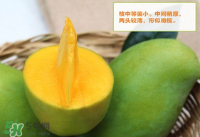 青芒果硬的能吃嗎？青芒果沒熟能吃嗎？