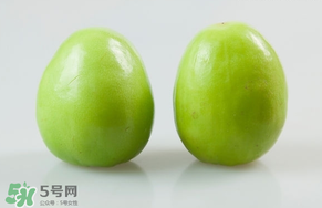 青棗什么時(shí)候上市？青棗什么時(shí)候成熟？