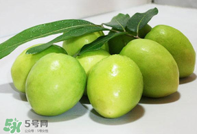 青棗什么時(shí)候上市？青棗什么時(shí)候成熟？