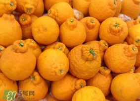 丑橘是轉(zhuǎn)基因嗎？丑八怪是轉(zhuǎn)基因的嗎？