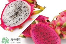 3月份有火龍果吃嗎？三月份可以吃火龍果嗎？